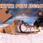 Winter Pets Puzzle