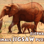 Animals Jigsaw Puzzle Elephants